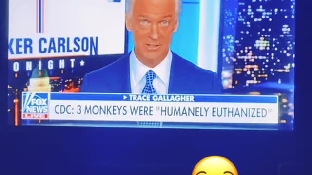 Remember those monkeys that were in that tipped over truck??