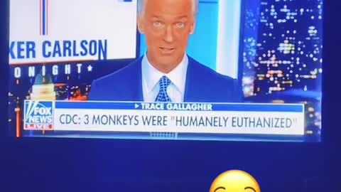 Remember those monkeys that were in that tipped over truck??