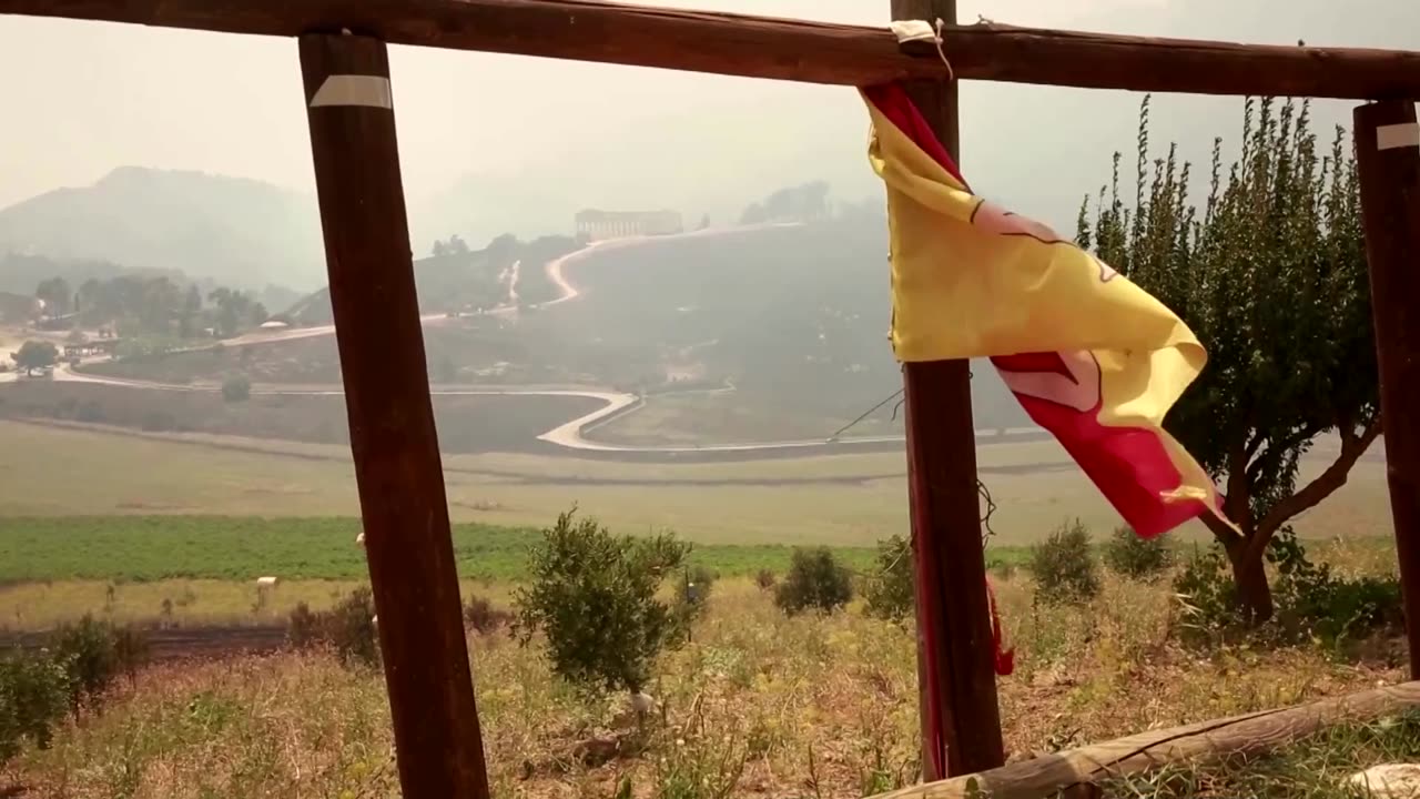 Drone video shows wildfire damage in Sicily