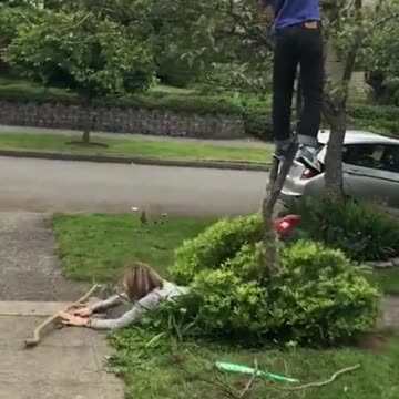 How my life is going...😂