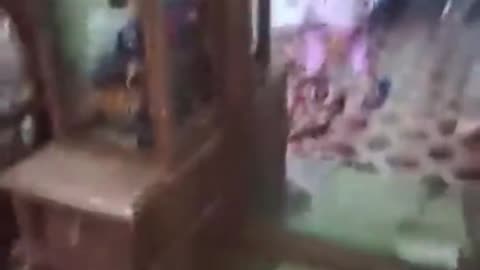 Radical Islamists in Bangladesh are attacking the Hindu minority in their