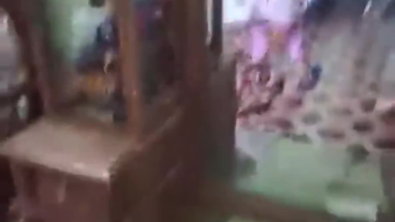 Radical Islamists in Bangladesh are attacking the Hindu minority in their