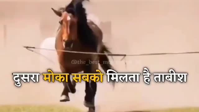 Motivational video