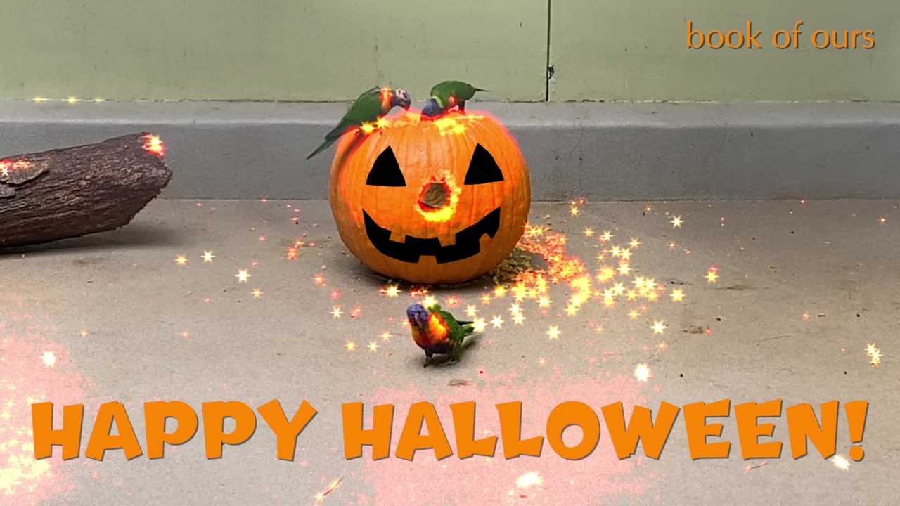 Happy Halloween!