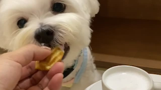 This is si yummy