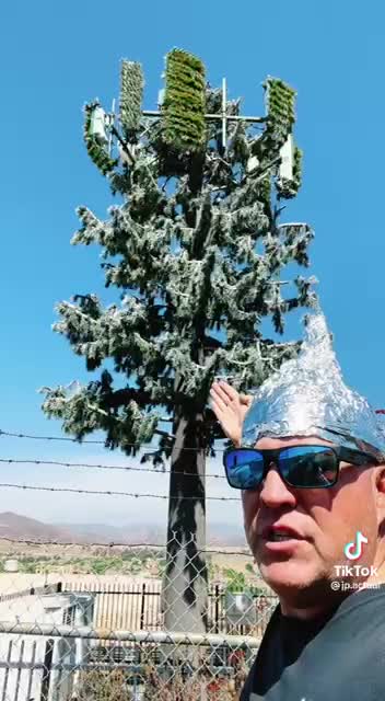 Tinfoil hat