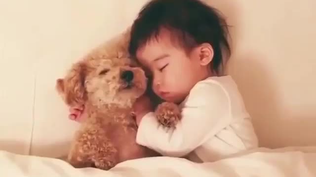 Best Funny Animal Videos 2022 😺 Funny Dog Videos 2022 😁 Funniest Dog Videos 😁😇