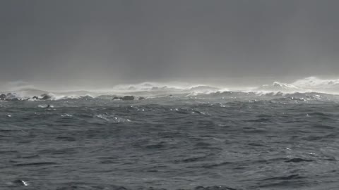 Sea Storm