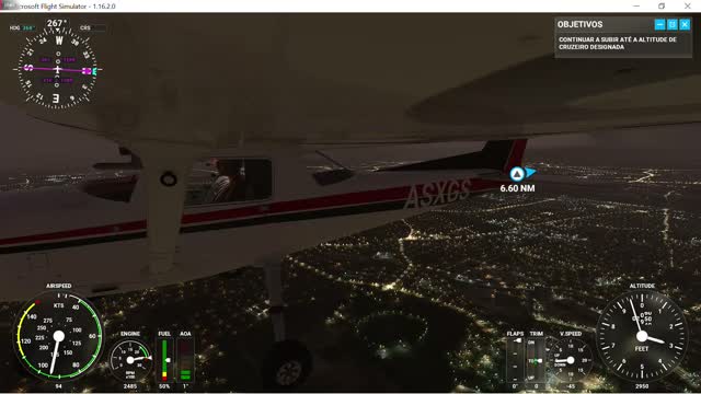 Microsoft Fligth Simulator