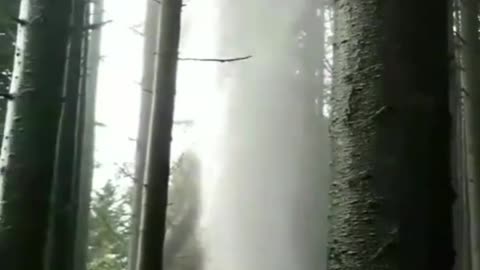 Can you belive this?