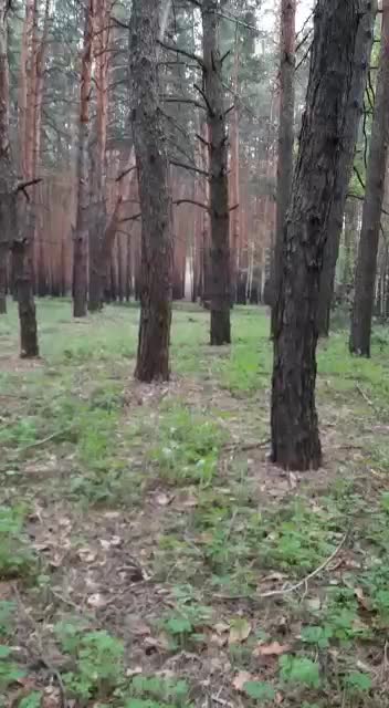 Ukraine War - Crest give up, Akhmat Strength