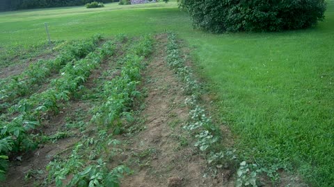 2021-07-06 - 663 VT ROUTE 102 GARDEN ALL WEEDED