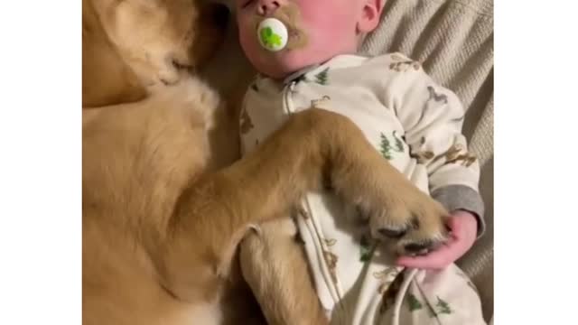 Cute dog with baby 🥰♥️