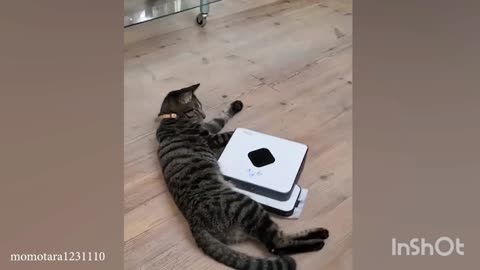 What's that?