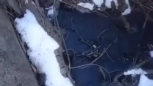 Four invaders tanks got stuck in our land in the Sumy region