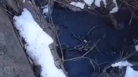 Four invaders tanks got stuck in our land in the Sumy region