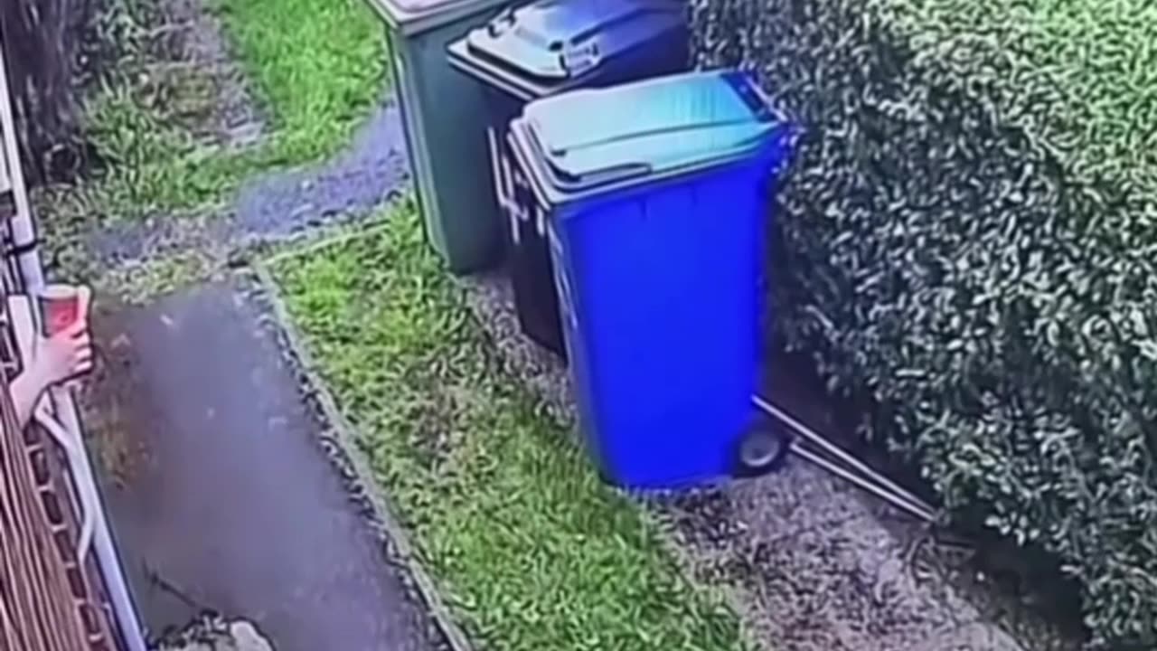 Dumpster