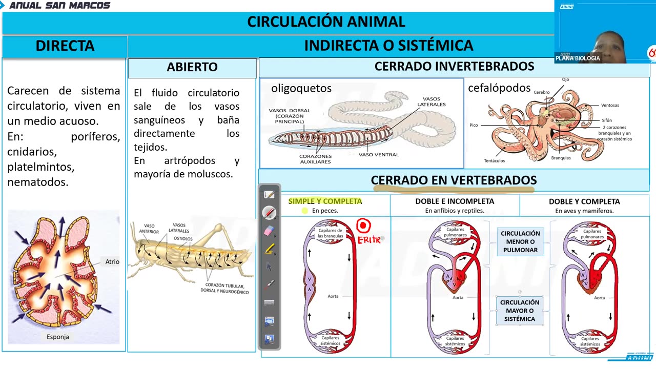 ANUAL ADUNI 2023 | REFORZAMIENTO 07 | BIOLOGÍA TEORÍA