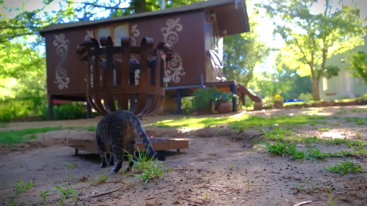 cat came fiddling out of a barn, With a pair of bagpipes under her arm.