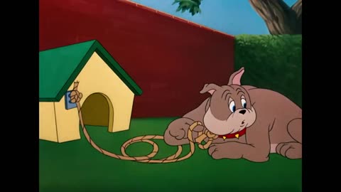 Tom & Jerry | Trouble Everywhere | Classic Cartoon Compilatio