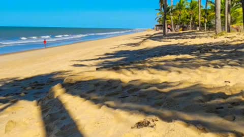 Areia fofa, sol, canga e água de coco. Prado