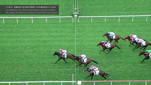 Horce_Race_2022051506_English