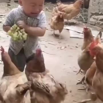 "The Little Grape Incident: A Tale of Tears and Hen-Mischief"