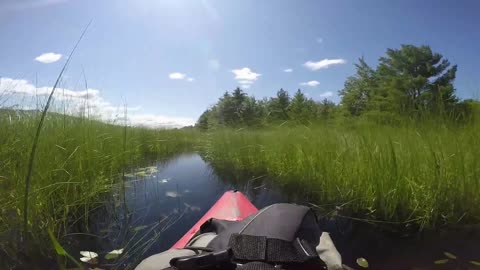 Kayaking Adventure