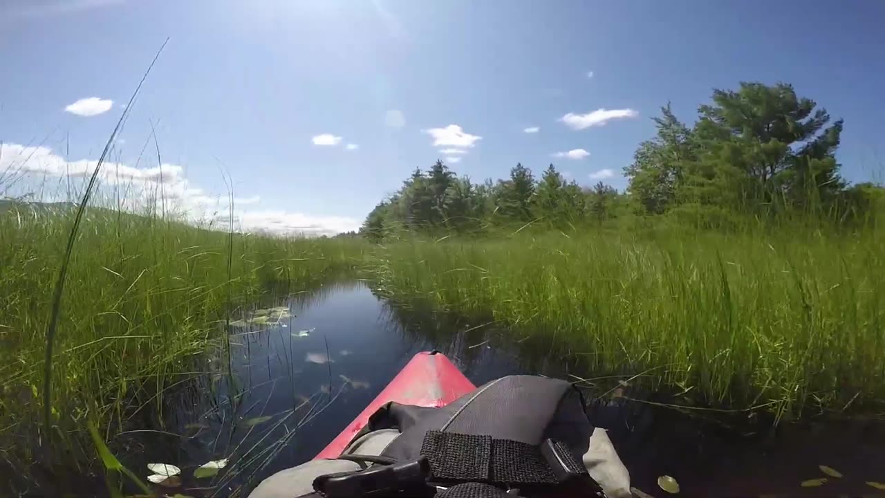 Kayaking Adventure