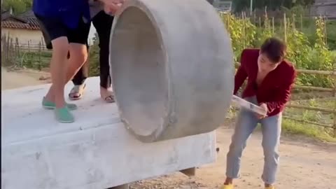 Funny and Comedy video 🤣😂😸