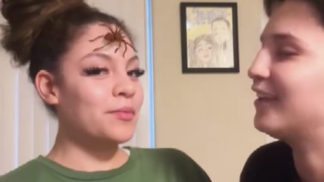 Spider in the face Prank