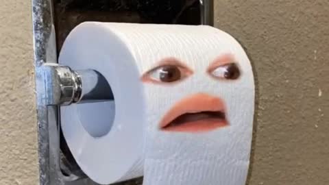 Funny toilet paper