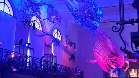 Monaco: a delightful light show at the Oceanographic Museum