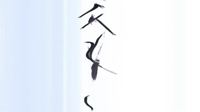 Distorsión