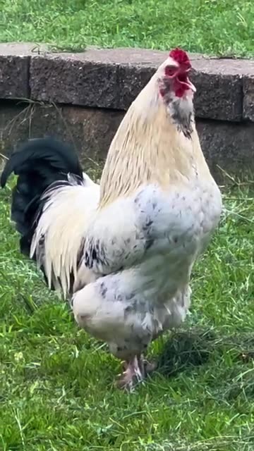 Yeah -- It's time to check my Social Media