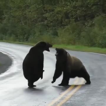 Viral video with A dispute on the road