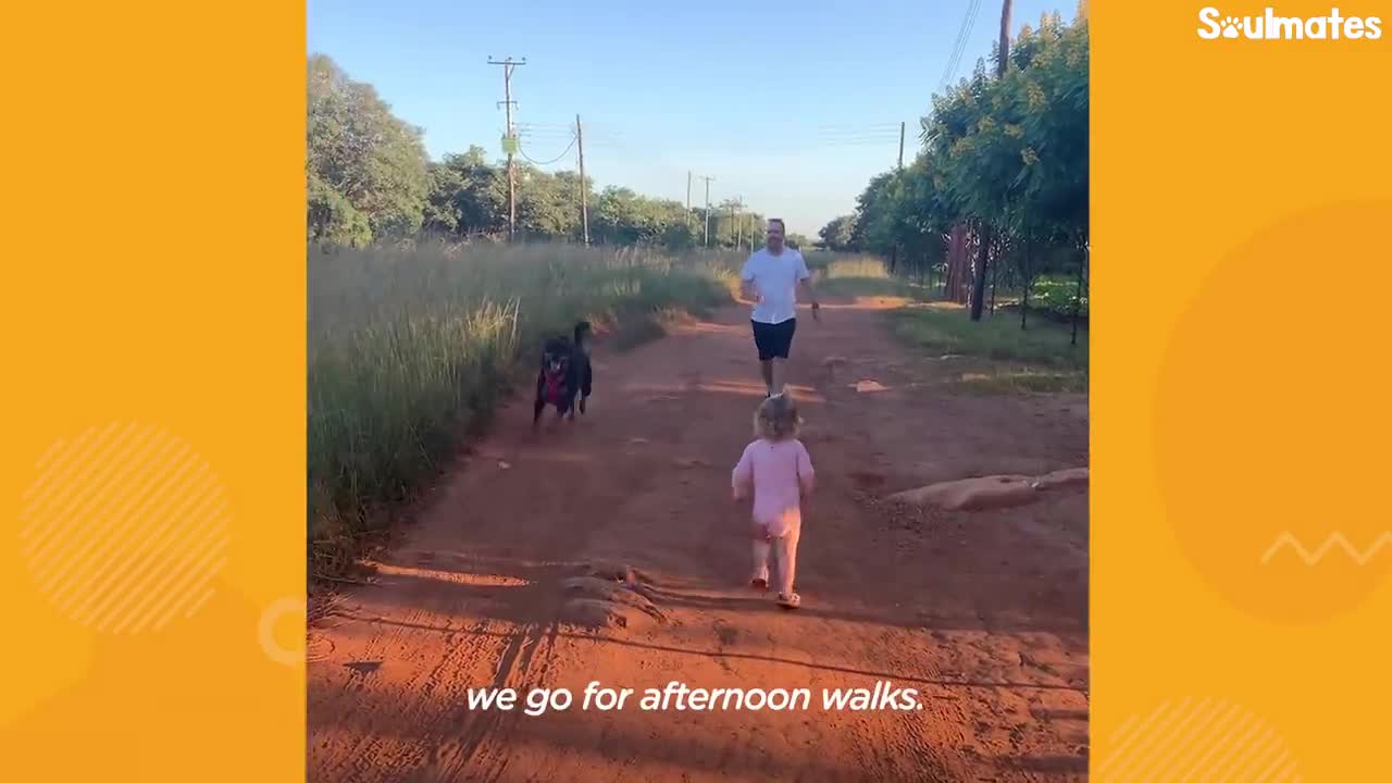 Rottweiler copying her owner