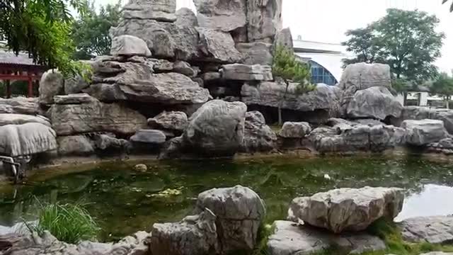 This rockery is beautiful