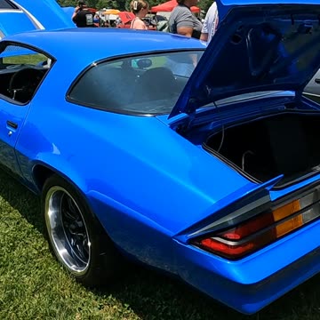 1979 Chevrolet Camaro