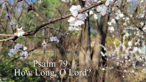 Psalm 79 - ESV Audio