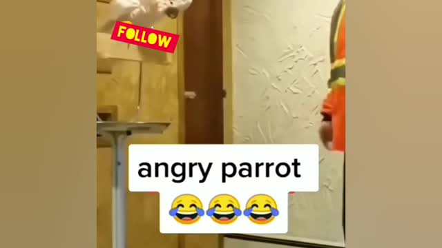 The perats saying men ..fuck you