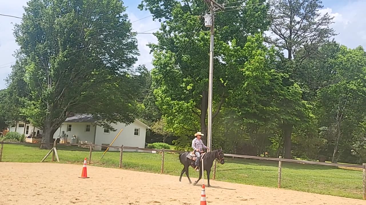 Part Time Cowboy and Harley