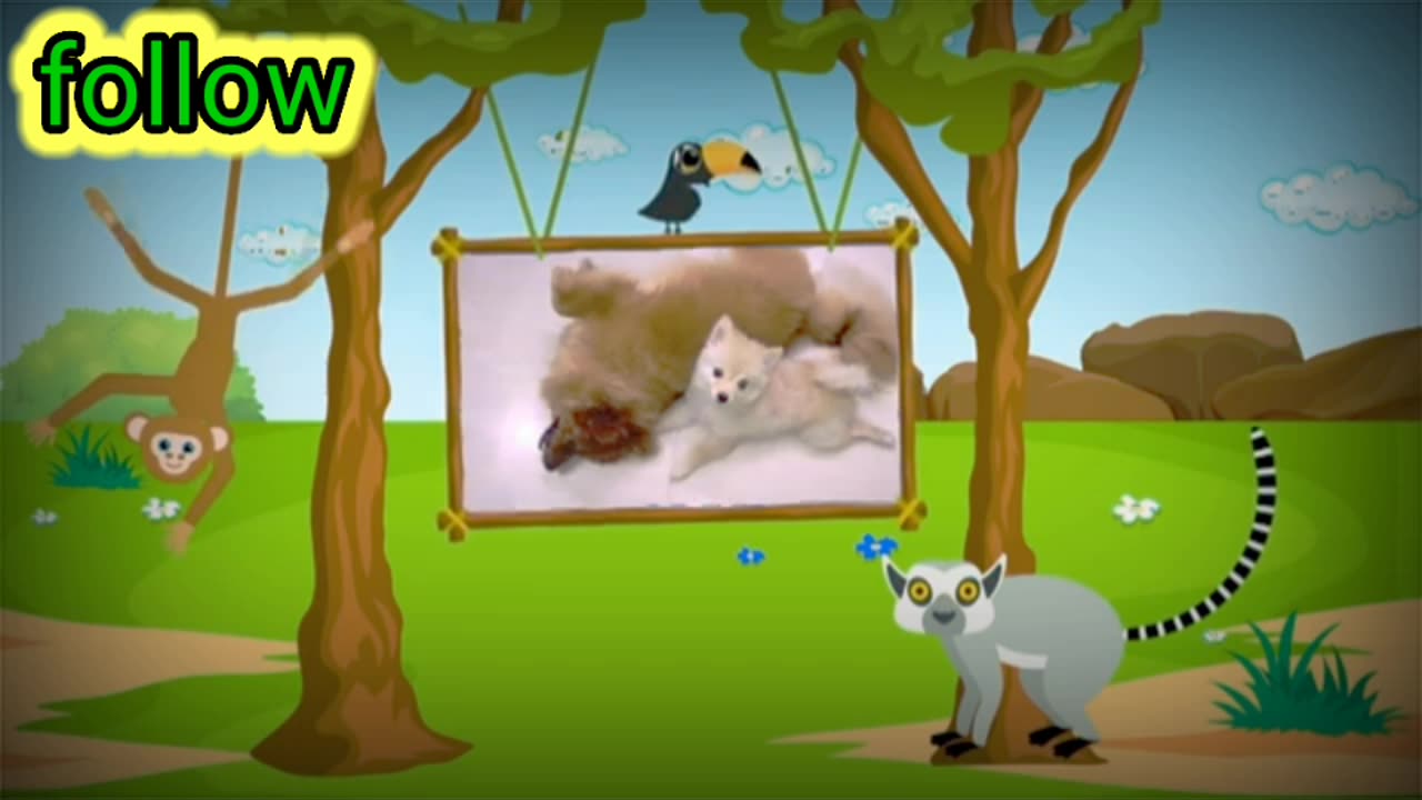 🥰Cut chini kulfi is playing video😀 #dog #dog lover #children #catoon #viral #viral #trending ||