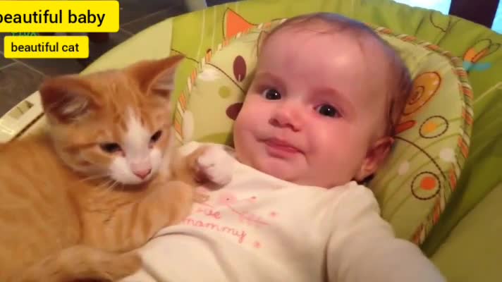 baby with beautiful cat