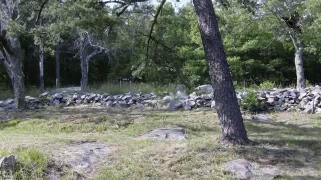 Misterio del antiguo muro de piedra en zigzag en Georgia