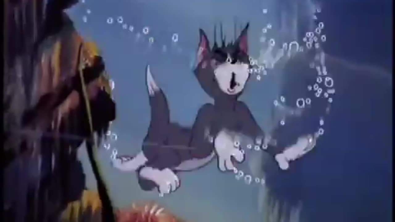 Tom & Jerry clip