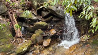 North Carolina Forest Mini waterfall