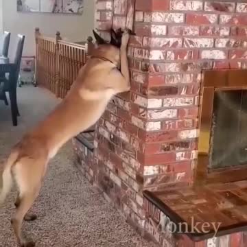 That is one of the most precious things EVER💓