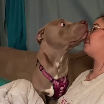 Do It Again I Dare You