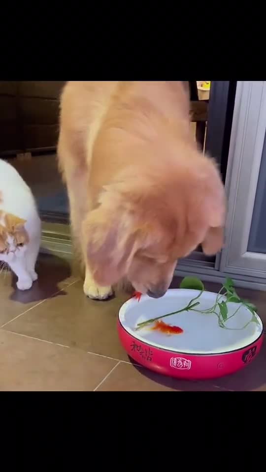 Three friends helping each other